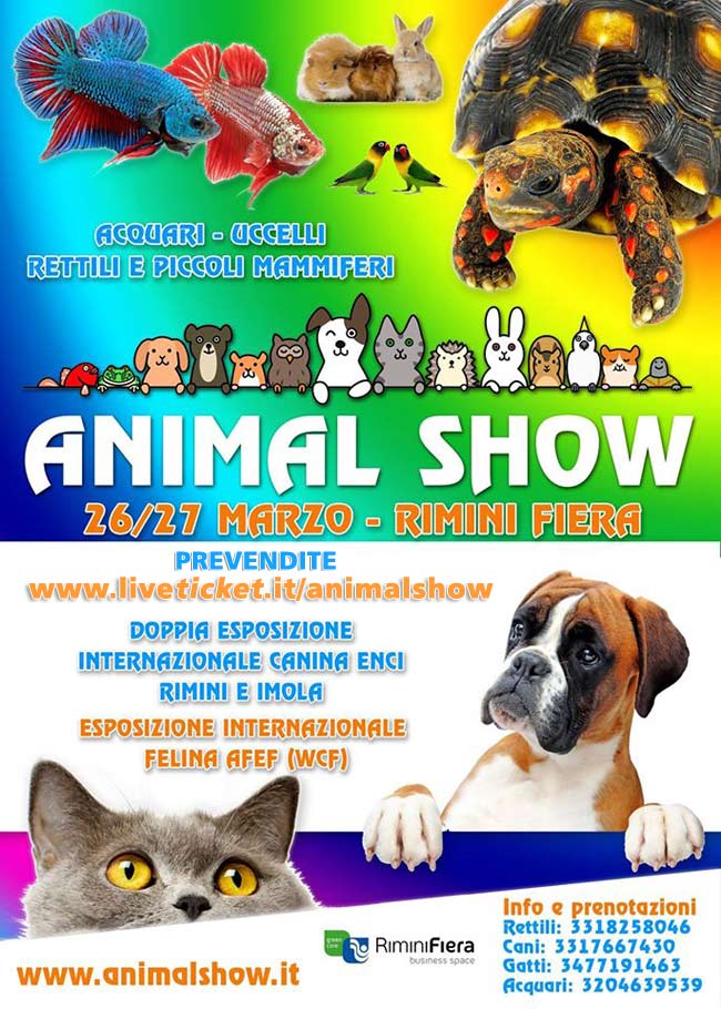 Animal Show Rimini Fiera