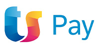 team system payments logo