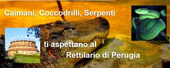 Il Rettilario di Perugia
