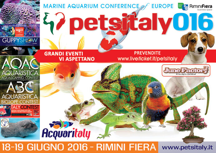 Petsitaly 016 Rimini Fiera 18 - 19 giugno