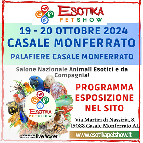 EsotikaCasale Monferrato 2024
