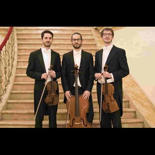 Biglietti Trio Hegel | David Scaroni - Violino, Davide Bravo - Viola, Andrea Marcolini - Violoncello