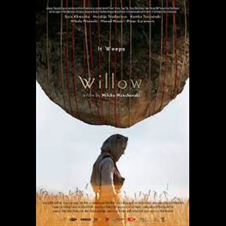Biglietti Willow (2019)